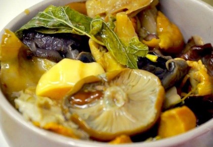 ������� �����������: ������������ ������� �� ���������� ��������