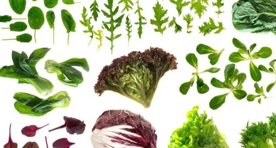 ��������� ������������ �������� �������