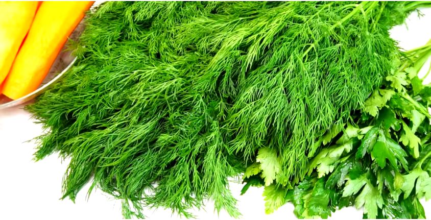 ����� �� ����: ������� ������ ������������� �������� ��� ����