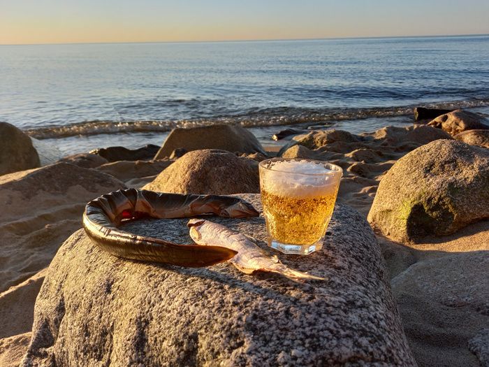 На берегу Балтики: угорь и корюшка в неистовом поединке закусок