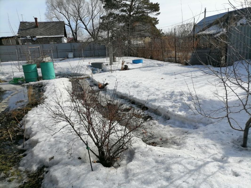 Как укрытие помогает защитить клубнику от зимних невзгод