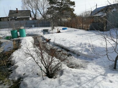 Как укрытие помогает защитить клубнику от зимних невзгод