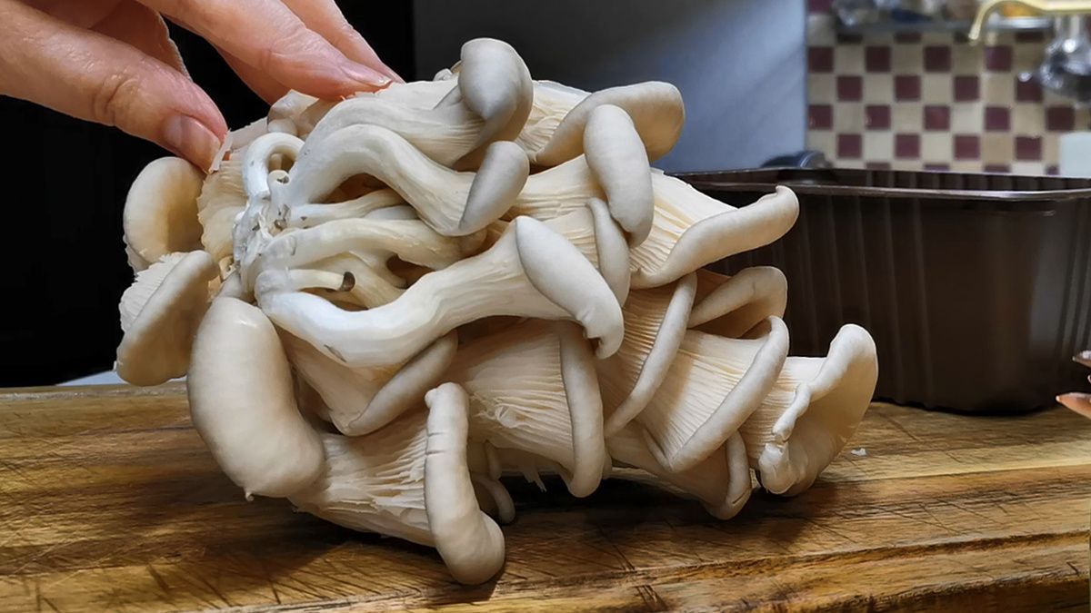 Простая вкуснота: картошка с грибами, которую захочется готовить снова