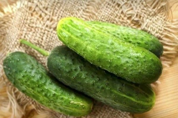 Огурец На закуску: секреты успеха для любителей овощеводства