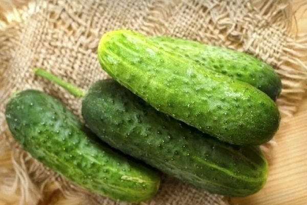 Огурец На закуску: секреты успеха для любителей овощеводства