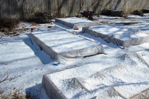 ������� ��� ����: ������� ��������� ������� � ������������ ������