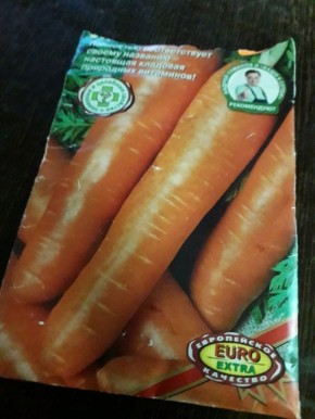 Подзимний посев моркови: искусство, которое стоит освоить