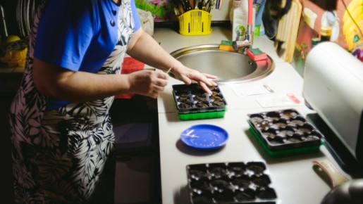 Секреты быстрого прорастания сладкого перца: проверенный метод, которому стоит доверять