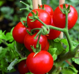 ��� �������� ������� ������ ���������: ������� ��������� �����