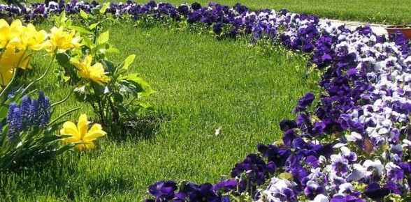 Как выбрать идеальный цветник для вашего сада в 2025 году