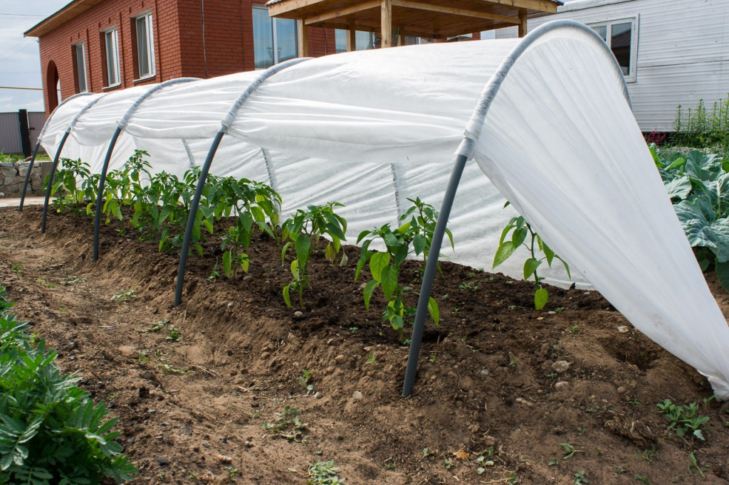 Как укрывные материалы станут вашим незаменимым помощником в саду