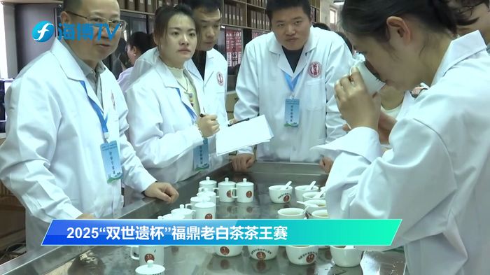 Необычный конкурс выдержанного белого чая в Фудине