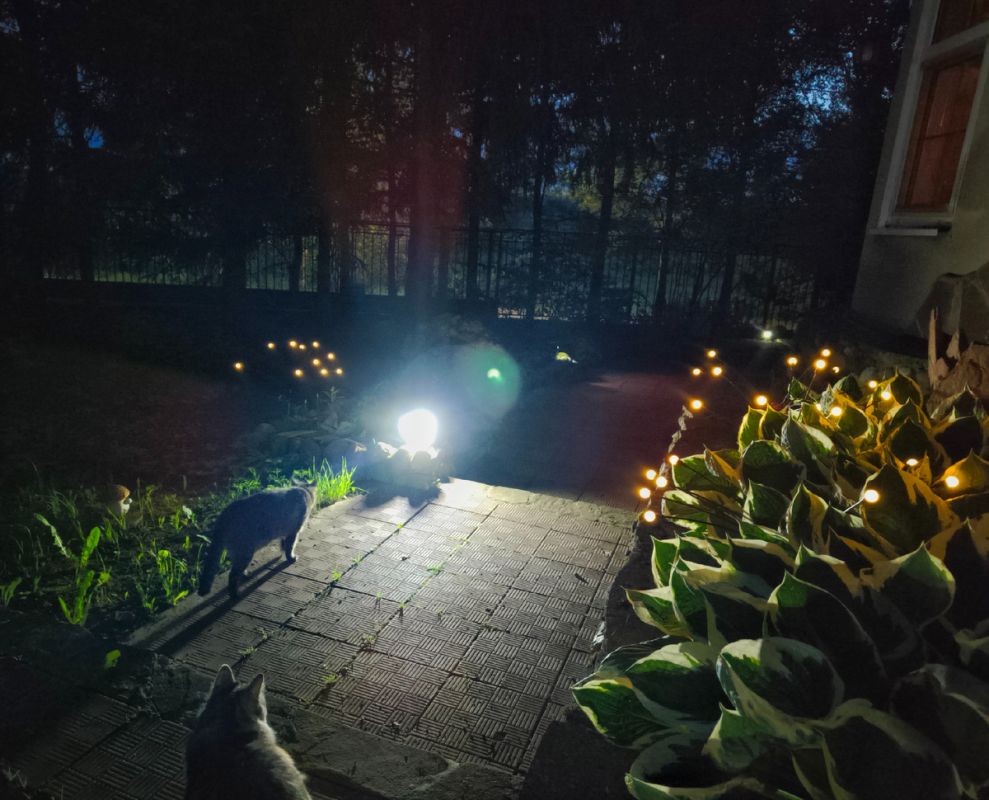 Когда любви к животным не хватает, чтобы отказаться от мяса