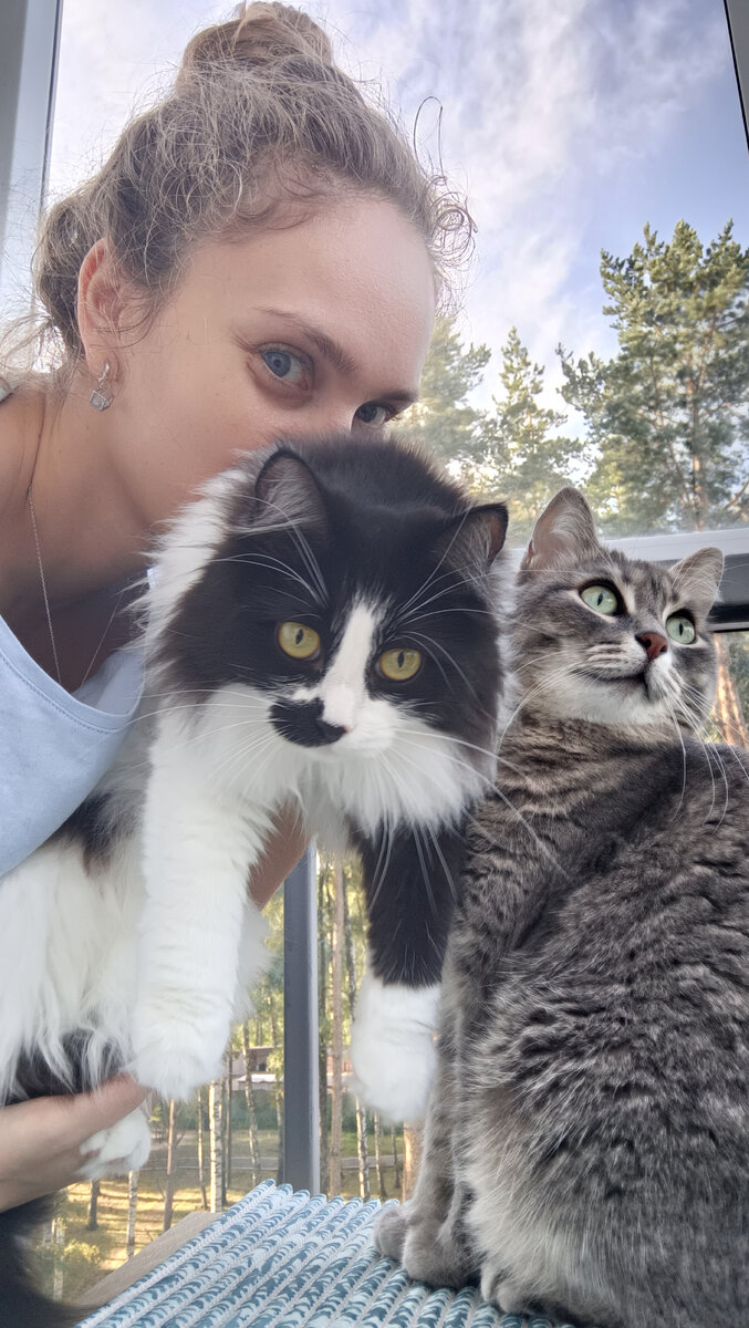 Кошки в нашем доме: как мурчащие компаньоны влияют на кулинарную жизнь