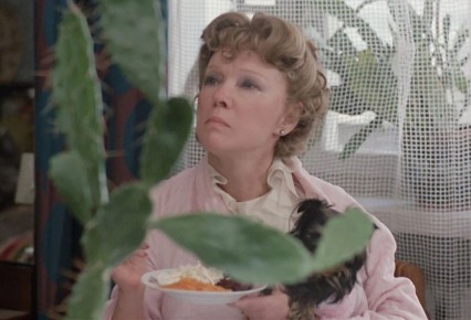 ������ �����, ������� ��� ������ ��������� ���� � ������