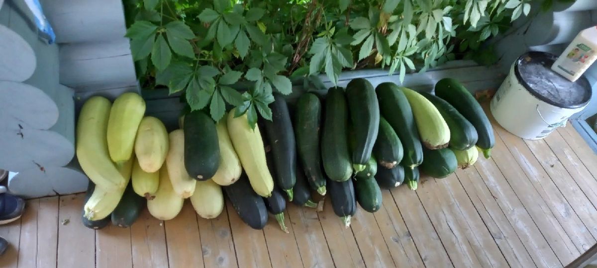 ��� ������������ ������� �������: ������� � ������� ����