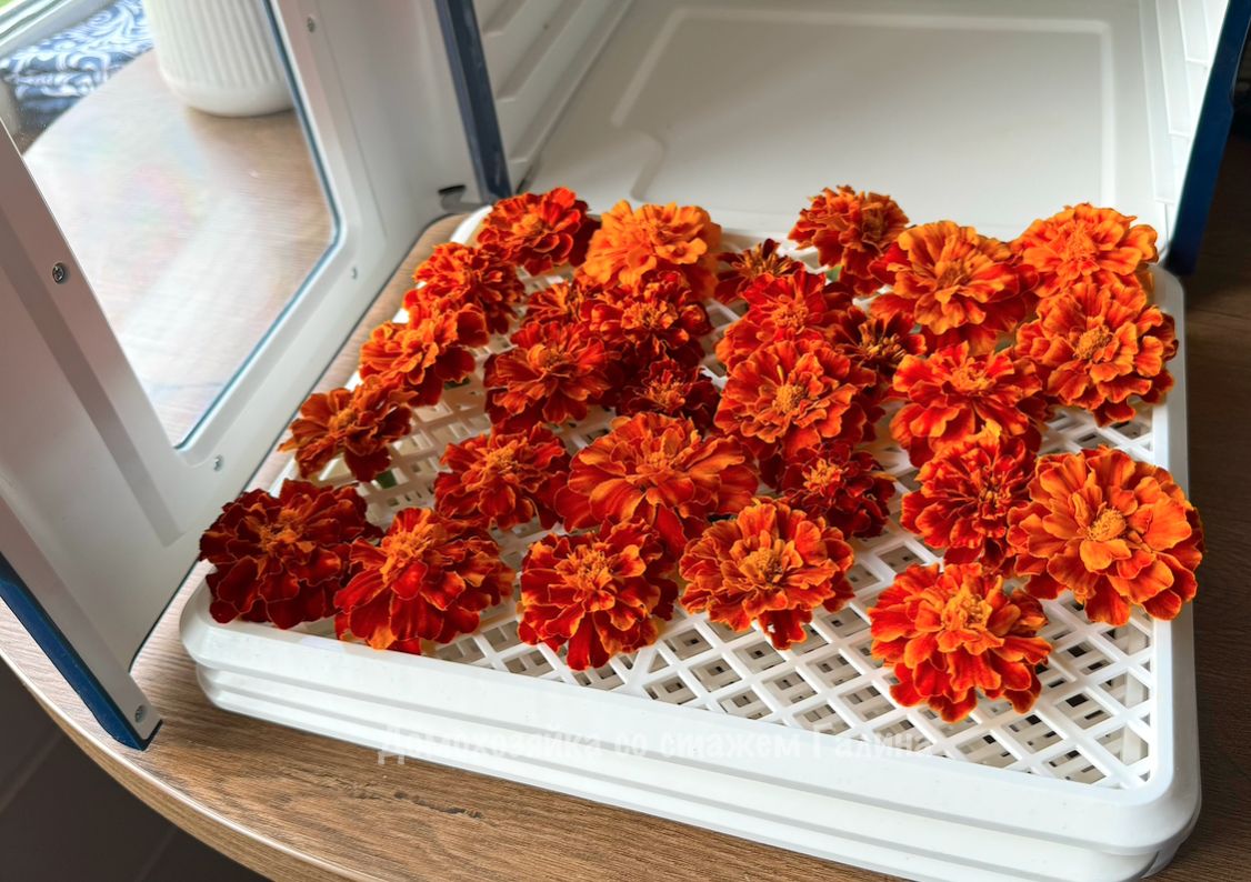 ��� ������ ��������: �������� ���� ��� ������ ���������