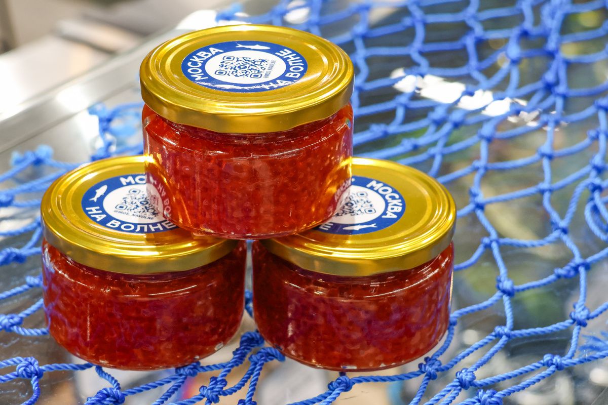 ���� ������ �� �������� ���� ����� �������� �� ������ ������