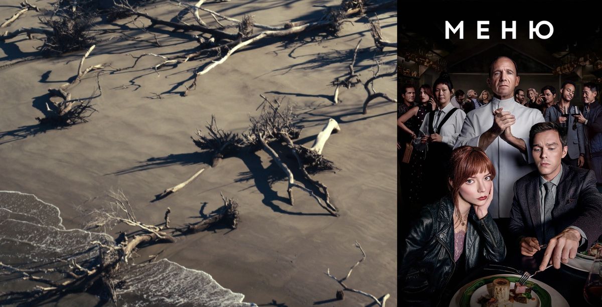 ����� � ��������: ��� ������ ���������� �� ����������� ���������� ���������