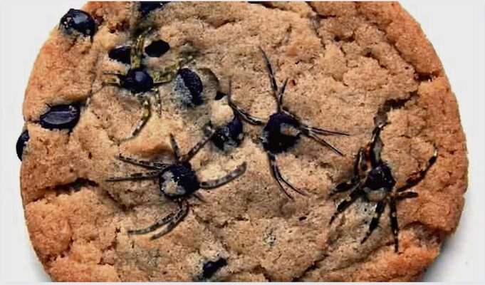 Шоколадное печенье с пауками: угощение, которое никого не оставит равнодушным на Хеллоуин
