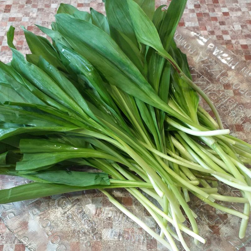 ������ ������ ������ � �����-���������� ���������