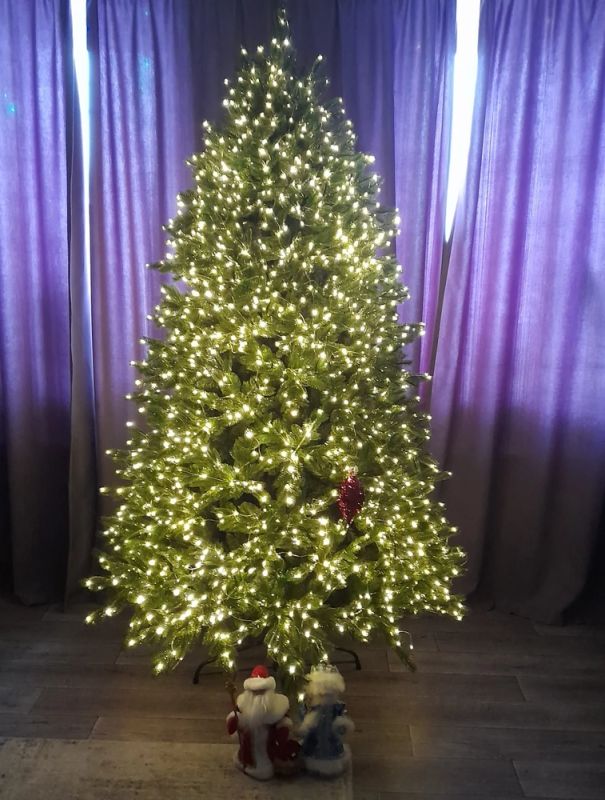 ������� ����������� ����: 5 ��������� ������� � Wildberries