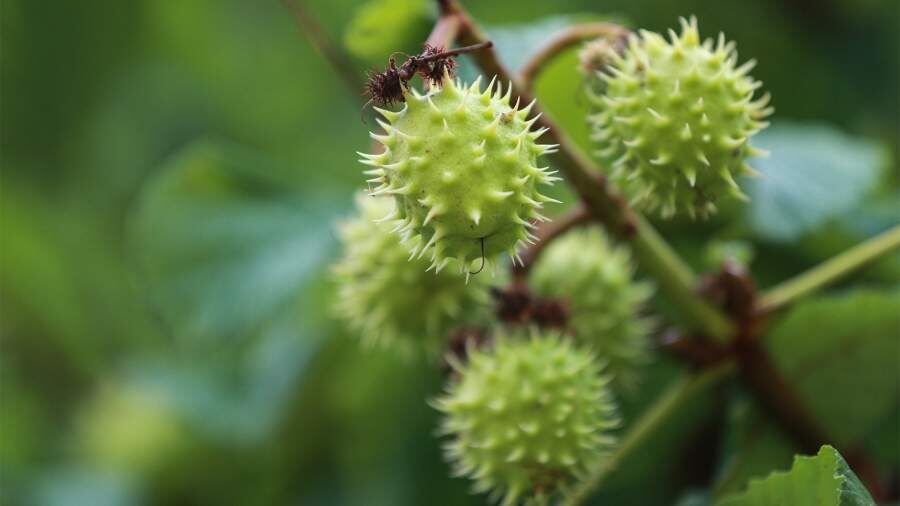 ������� ���� � ��������� ������� ��������: ������� � ������