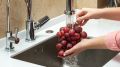 Как правильно мыть ягоды: советы по очищению от загрязнений