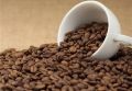 Кофейный бум: Как импортеры справляются с ростом цен