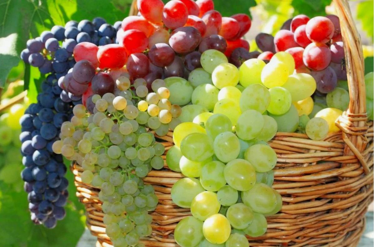 �� �� ��� ������: ����� � ������, ������� ����� ��������