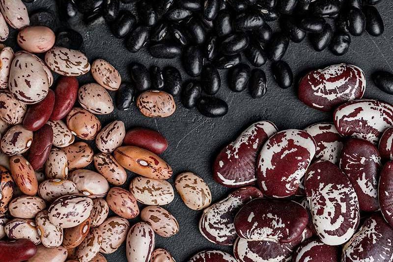 Фасоль: Природное Сокровище для Вашего Здоровья и Кулинарии