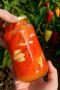 Маринованный сладкий перец: легкий рецепт для вашей кухни