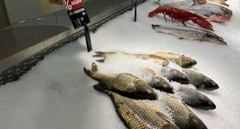 ��� ������� ������������ ���� ������ � ��������� � ������� �������� ������