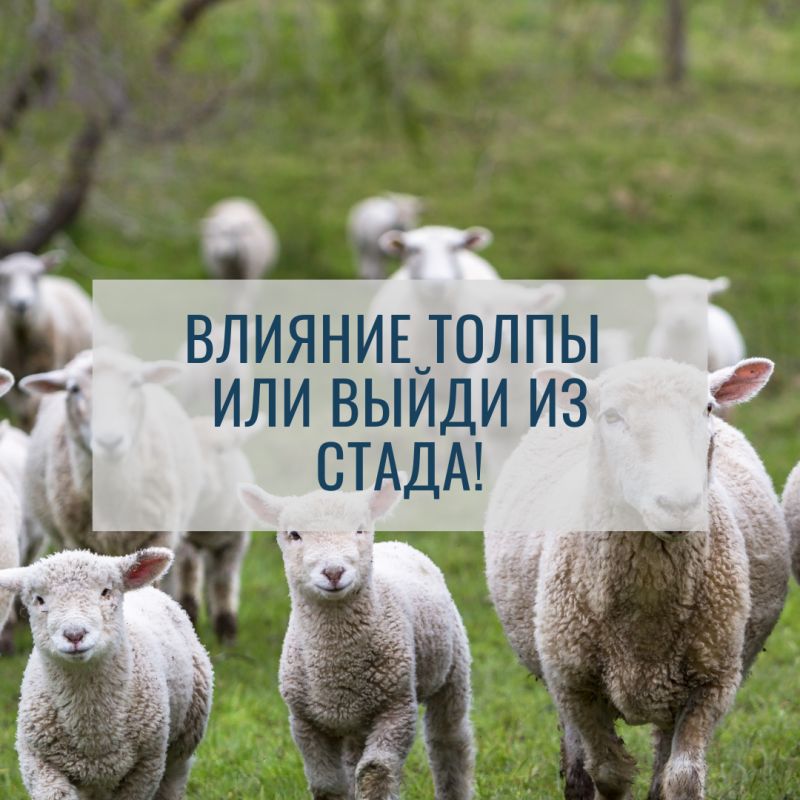 ������� �����: ��� �� �������� ���� � �����