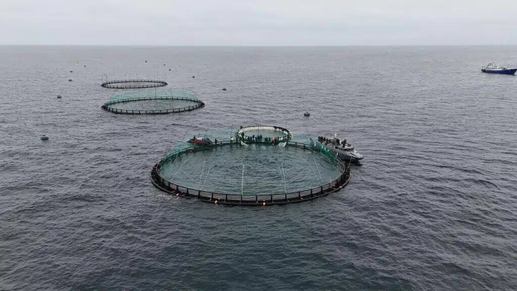 �� ������ �������� ����������� ������: ������� �������� ����������� � ������������