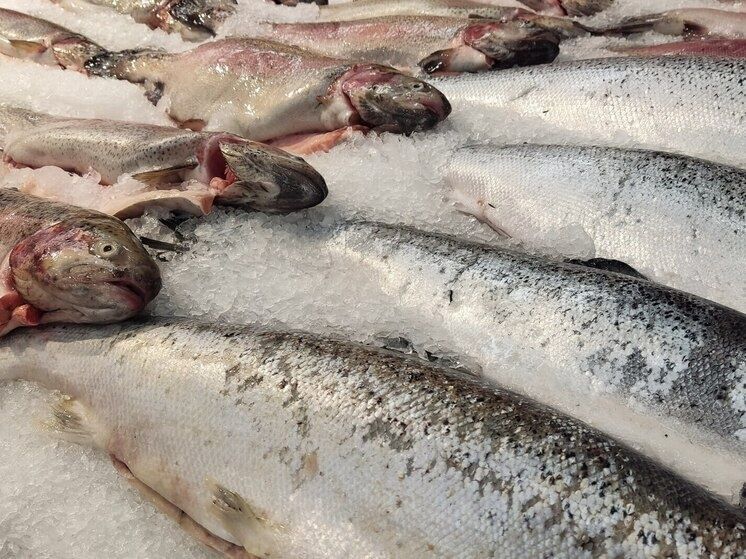 ��������� ����: ������������ ����� ��� ��������� �������������