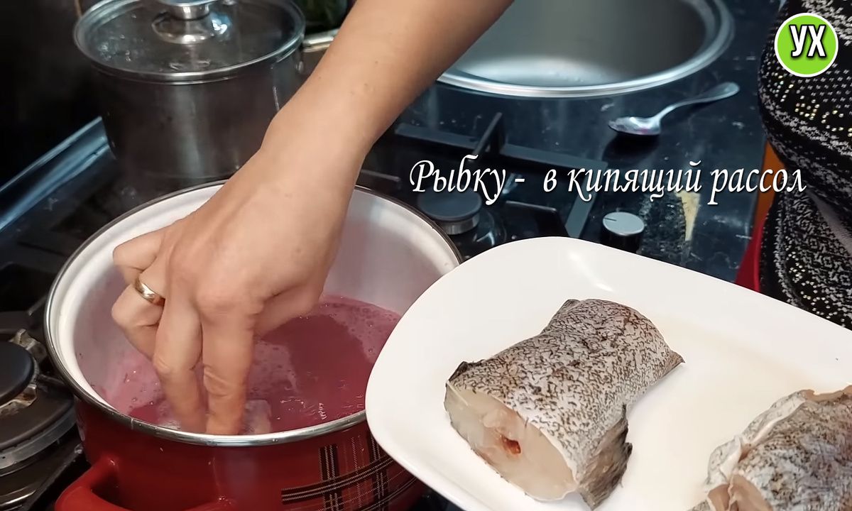 ����� ������ �� �������� �����: �����������, ������� ������