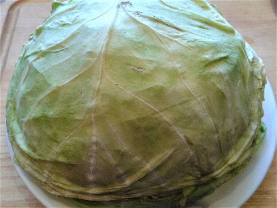 ��� ������� ����� �� ������� ���������: ������ ���� �� �����