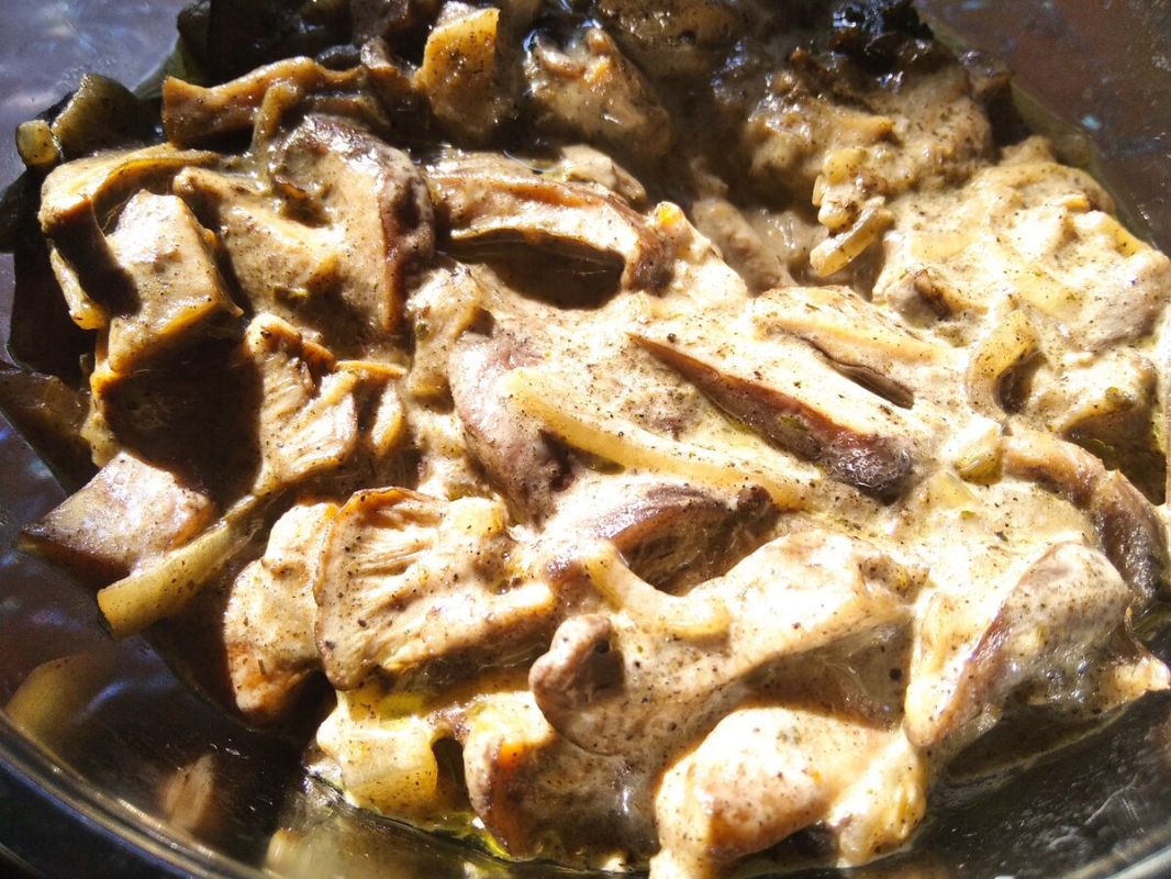 ��� ������ ������ ������� �� �����: ���������� �������� ��� ����