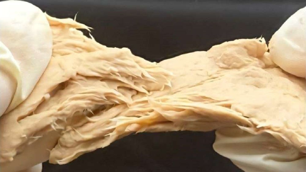 ������ ����������� ����� ����, ������� ������� ��� �������������