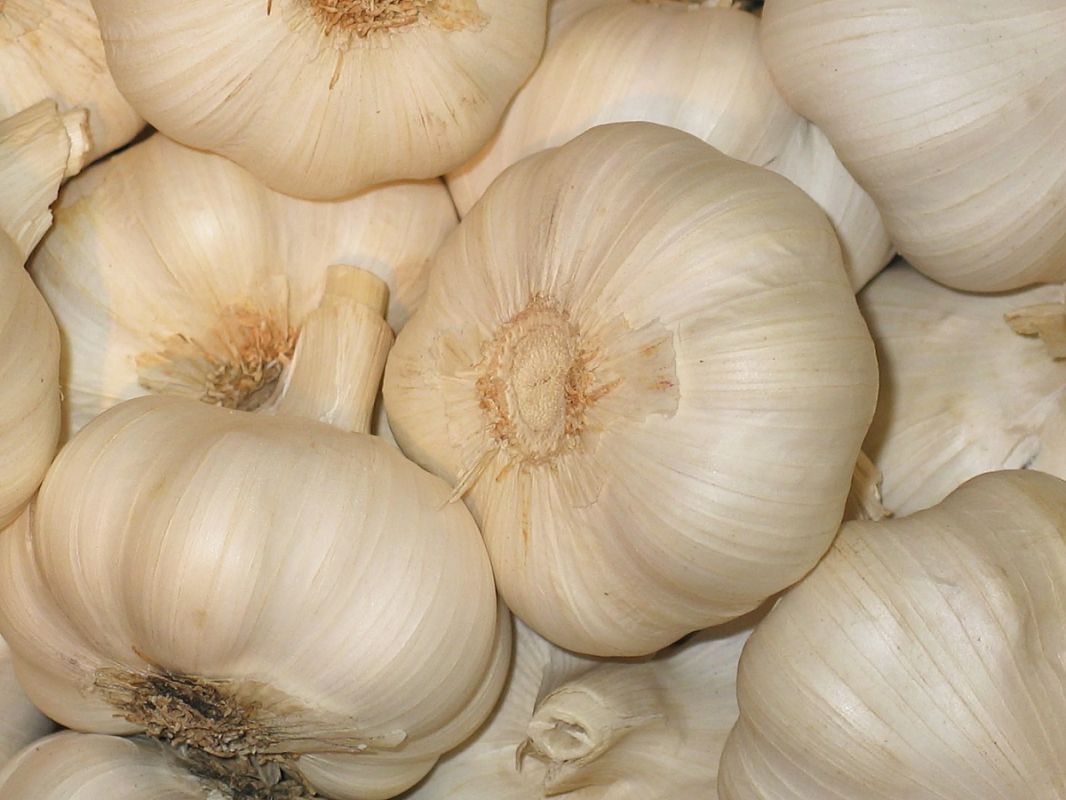 ��� �������� ��� �������� ������: 5 ������� ��������� ��� ����������