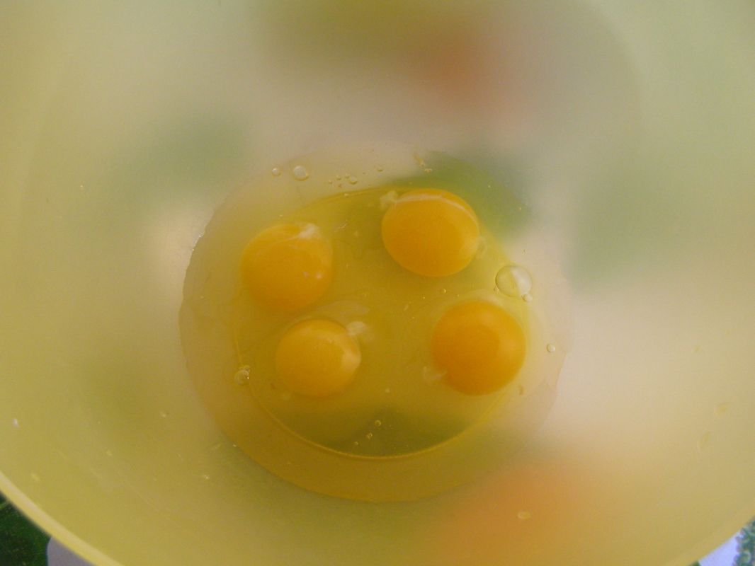 ���������: �������� � ������� �������