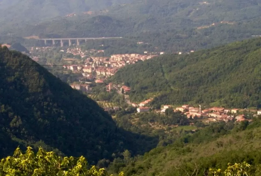 Инновации в традициях: Луниджанский пирог из свежих трав