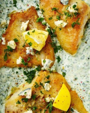 ���������� ���� � ������� � ������ ������