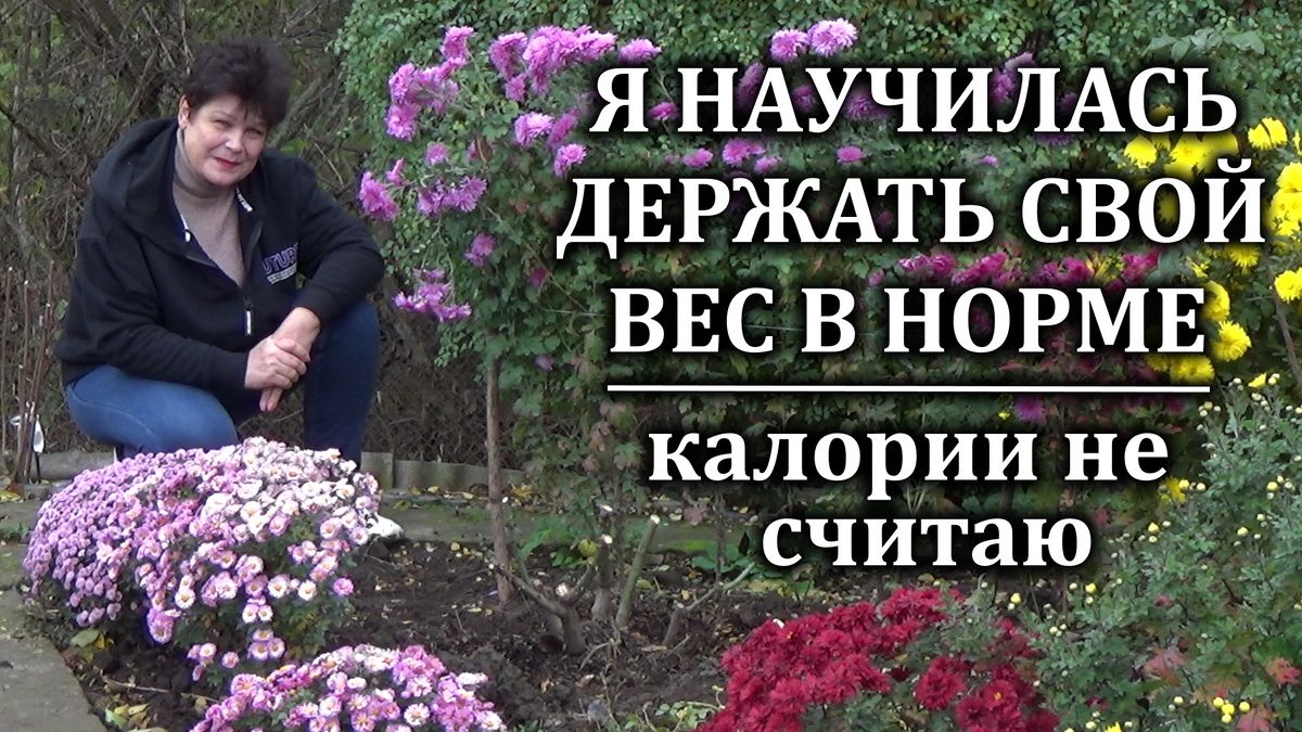 ��� ��������� �������� � ������� � ������������ �����: ������ �� ����������� ������������ ����