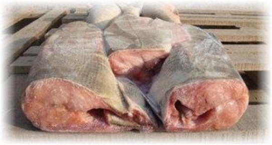 ��� ��������� ������� �������: ������� � ������