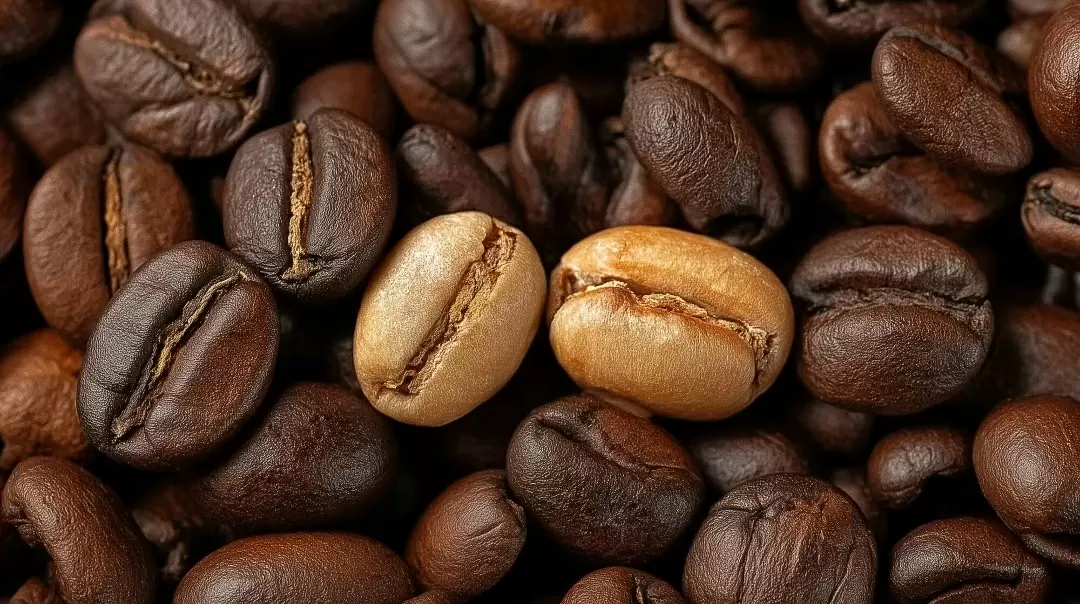 Квакеры в кофе: как недозрелые зёрна портят вкус вашего напитка