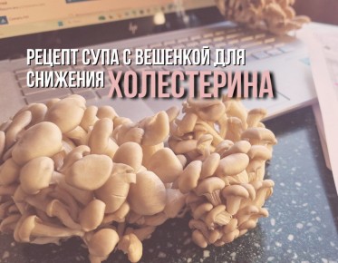 ��� � ��������: �������� ������ ��� �������� �����������