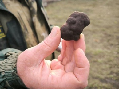 ���������� ������ ���������� ������