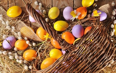 ���������� ����: ��� ������� �������� �� ������������ �����������